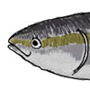 �u��