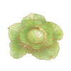�L���x�c