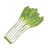 �˂�
