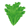 �t�e