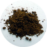 allspice