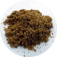 allspice