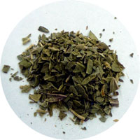 allspice