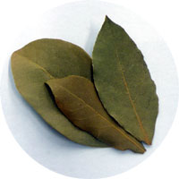 allspice