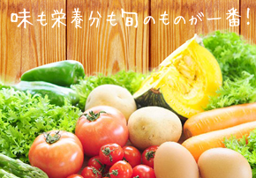味も栄養分も旬のものが一番！旬の食材特集