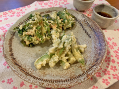 タラの芽の天ぷらと菜の花と桜エビのかき揚げ