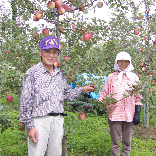 【送料無料】青森津軽産地直送 樹成完熟林檎ジュース