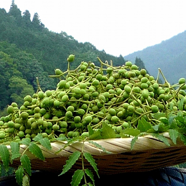 山椒香味油