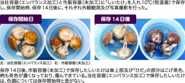 エンバランス　シームレスピッチャー