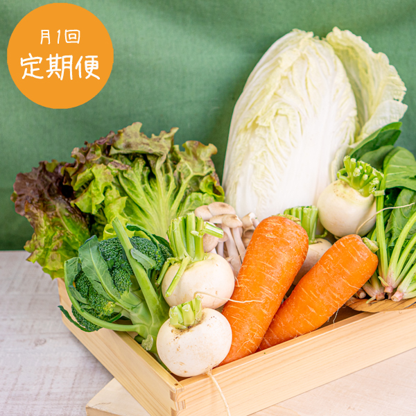 【定期便毎月1回】【送料無料】類農園　旬の有機野菜5・6品とキノコのセット