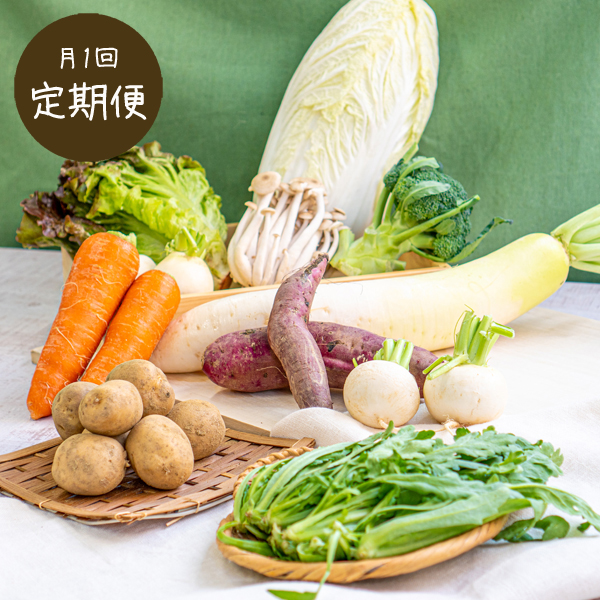 【定期便毎月1回】【送料無料】類農園　旬の有機野菜8・9品とキノコのセット
