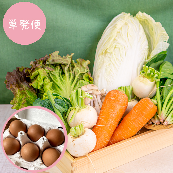 【単発便】【送料無料】類農園　旬の有機野菜5・6品とキノコ&卵のセット