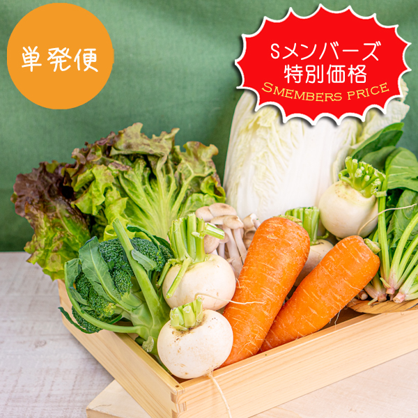 【単発便】【送料無料】【Sメンバーズ様特別価格】類農園　旬の有機野菜5・6品とキノコのセット