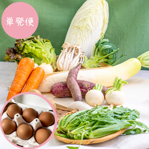 【単発便】【送料無料】類農園　旬の有機野菜8・9品とキノコ&卵のセット