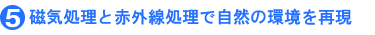 5磁器処理と赤外線処理で自然の環境を再現